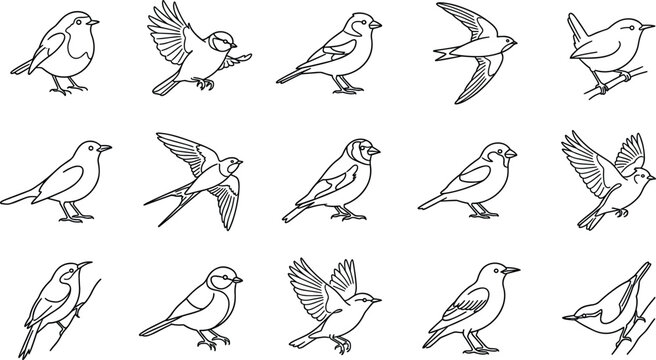 Minimalist Songbird Black Line Icon Set Featuring Robin Bluebird Swallow Sparrow Goldfinch and Wren Symbols for Wildlife and Nature Crafting Designs