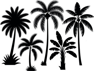 Tropical palm tree silhouette icon set, beach nature vegetation exotic banana plant vector illustration elements © Arif