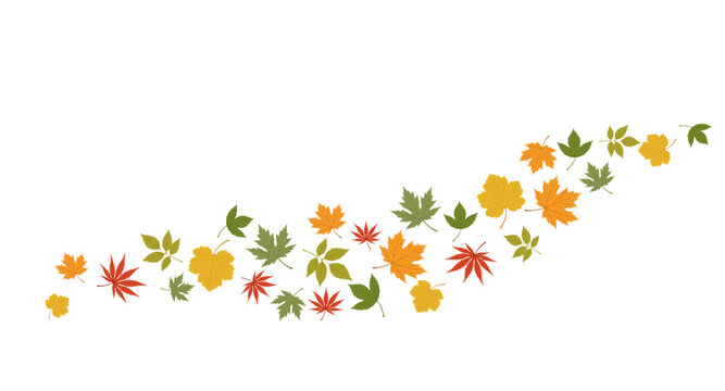 Autumn Maple Color Leaf