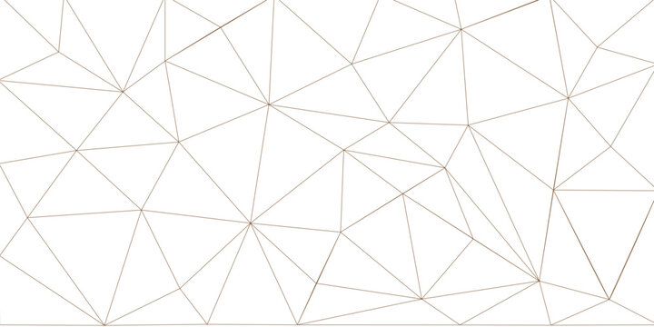 Geometric Triangular Wireframe Pattern Minimal White Background With Gold Lines For Design