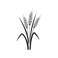 Fototapeta premium wheat plant illustration