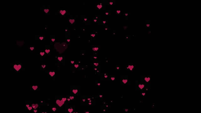 Heart fountain fly up. Stream reactions in social media. Love button emoji motion graphic. Live streaming in instagram, youtube, tiktok reaction, transparent background. 4K Video