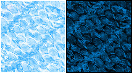 Microscopic shark skin texture, blue biological dermal denticles pattern, aquatic science macro photography, organic fish scale structure background © Anamul