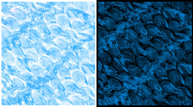 Microscopic shark skin texture, blue biological dermal denticles pattern, aquatic science macro photography, organic fish scale structure background