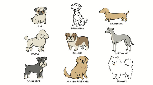 Labeled cartoon dog breed chart with various pedigrees.