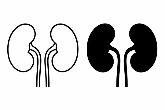 Human kidney icons set in black and white outline style