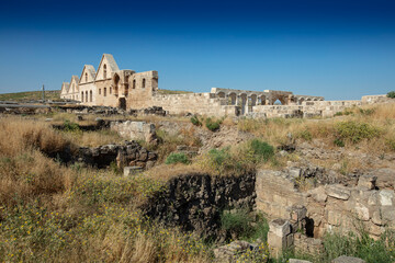 Fototapeta premium Historic Great Mosque of Harran and Ancient Ruins in Sanliurfa, Turkey