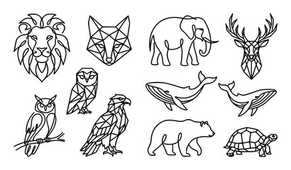 Hand Drawn Wild Animal Outline Set with Lion, Fox, Elephant, Whale, Bear, Owl and Turtle © Madhobe
