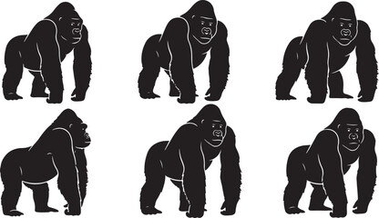 Realistic silverback gorilla walking poses high quality vector silhouette illustration set for eps. © Sheplob