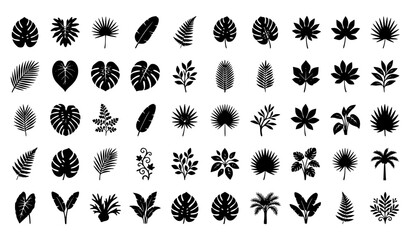 Exotic Tropical Foliage Silhouette Collection Vector © MDASADUL