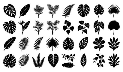 Black Tropical Leaves Silhouette Vector Set © MDASADUL