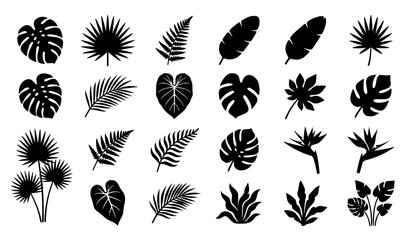 Minimal Tropical Botanical Leaf Silhouette Vector Pack © MDASADUL