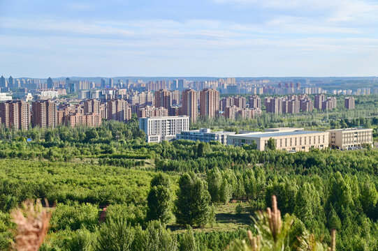 Modern Cityscape of Ordos Under Bright Daylight in Inner Mongolia, China