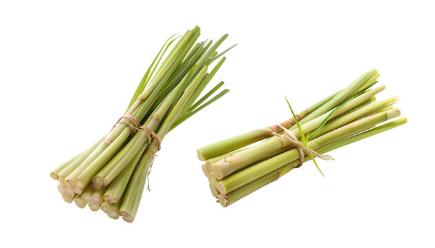 Trimmed lemongrass stalks, clean and fresh, isolated set on white with soft shadow. High-res Southeast Asian aromatic for packaging, menus, and cookbooks. PNG