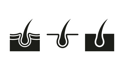 Hair follicle icon set. Containing skin layers and hair root. Vector illustration © Jahura