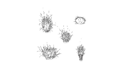 Hand drawn grass and vegetation sketch collection isolated on a clear transparent backdrop. © Sara Studio