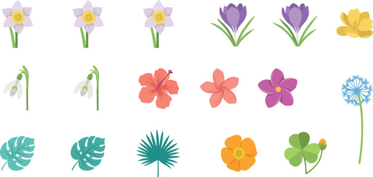 Spring and Tropical Flower Flat Icon Vector Set Featuring Daffodil Crocus Hibiscus Snowdrop Palm Leaf and Clover Isolated on White Background for Floral Design