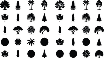 Deciduous and Coniferous Tree Silhouette Icon Set Featuring Palm Maple Willow and Pine Varieties for Landscape Architecture Forestry Maps and Eco Friendly Graphic Designs © Nazrul