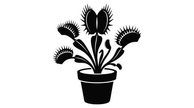Venus flytrap in pot black silhouette against white background