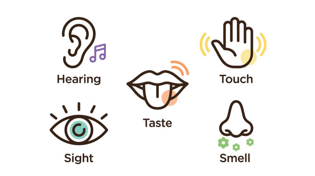 Five colorful line art icons representing the human senses of sight hearing touch taste and smell