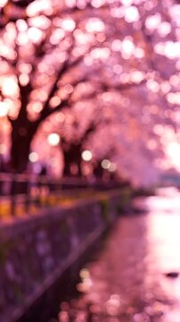 A Serene Evening by the Water: Blossoming Cherry Trees Framing a Peaceful Waterway, Bathed in Soft Pink and Purple Hues