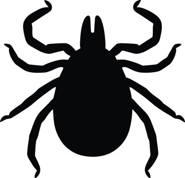Tick insect silhouette, parasite bug icon, blood sucker mite, danger of lyme disease warning, isolated flat graphic illustration