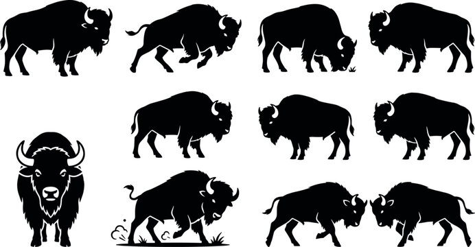 American bison buffalo black silhouette vector set featuring wild bull animals running grazing charging head portrait logo and side view stencils isolated on white background.