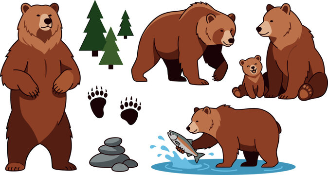 Grizzly brown bear wildlife cartoon character vector set featuring family with cute cub standing walking catching salmon fish paw footprints and pine trees.