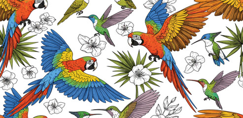Tropical Birds and Exotic Flowers Collection with Colorful Macaws Hummingbirds Botanical Elements and Wildlife Nature Illustration © Mimi