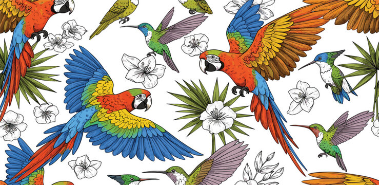 Tropical Birds and Exotic Flowers Collection with Colorful Macaws Hummingbirds Botanical Elements and Wildlife Nature Illustration