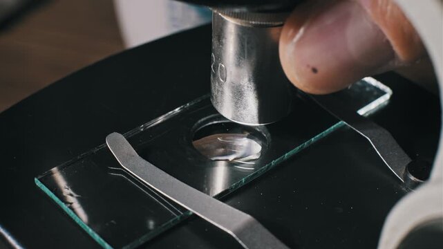 Close-up of a hand adjusting a microscope focus knob to lower the metal objective lens onto a glass slide. The liquid specimen is ready for biology analysis in a lab.
