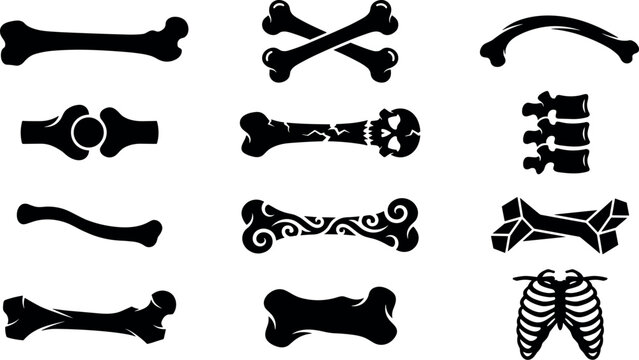 Black and white anatomical skeleton bones vector illustration set