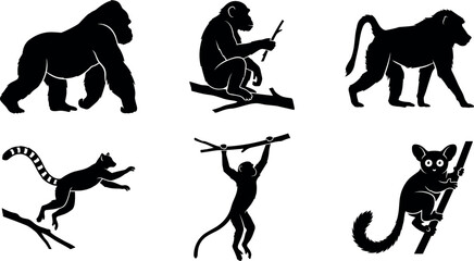 Wild Primates and Apes Silhouette Set with Gorilla Chimpanzee Baboon Lemur Monkey and Tarsier Icons for Jungle Nature Wildlife Graphic Designs and Mascot Logos © MdImran