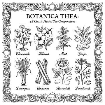 Botanica thea classic herbal tea ingredient compendium with botanical, ingredients
