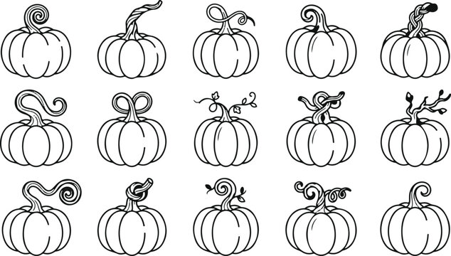 Black and white line drawing illustrations of various pumpkins for halloween or fall decoration