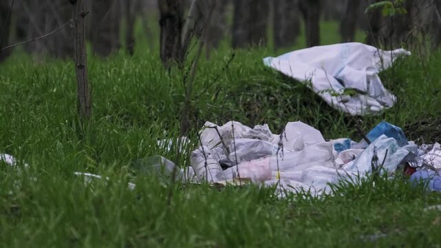 Plastic bags and rubbish lie scattered across the grassy forest floor. The footage highlights the lingering damage of non-biodegradable waste in natural ecosystems.