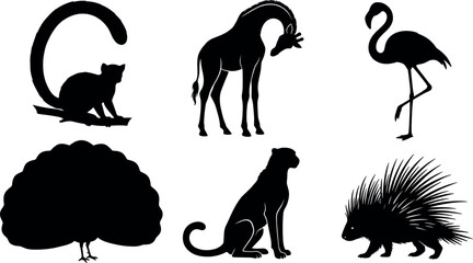Exotic African Safari Wildlife Silhouette Set featuring Lemur Giraffe Flamingo Ostrich Sitting Cheetah and Porcupine Icons for Zoo Nature Graphic Designs © MdImran