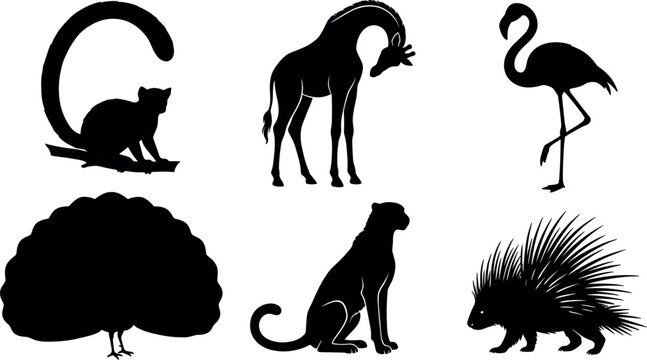 Exotic African Safari Wildlife Silhouette Set featuring Lemur Giraffe Flamingo Ostrich Sitting Cheetah and Porcupine Icons for Zoo Nature Graphic Designs
