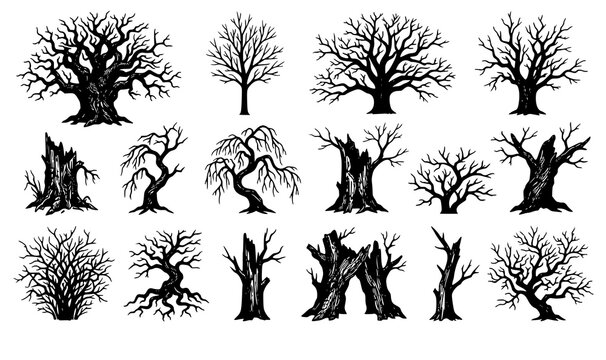 Bare trees silhouettes set dead branch and leafless winter wood forest vector