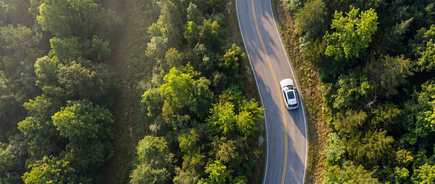White car driving on a winding forest road captured from an aerial top-down drone perspective, surrounded by dense green trees and morning sunlight casting long shadows for travel campaigns