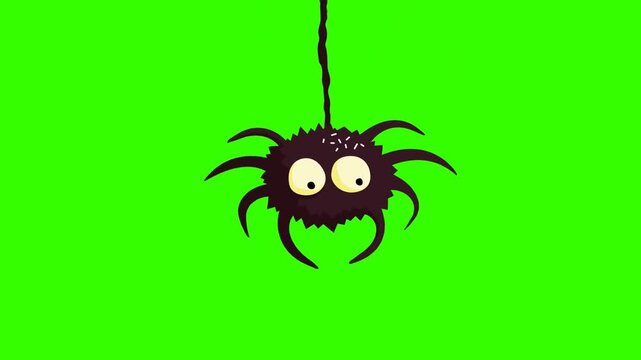 Cute and funny 2D cartoon spider transition video clip on a chroma key green screen background. Perfect for Halloween projects, kids' content, gaming videos, scary stories, and playful animation editi