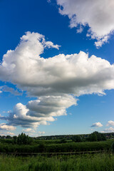 Obraz premium Fluffy white cumulus clouds drift across a vibrant blue summer sky above a lush green meadow, creating a serene and picturesque landscape view under the bright daytime sun
