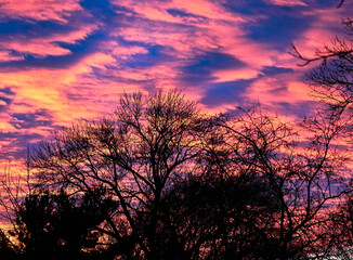 Fototapeta premium pink sky at night in Minnesota