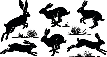 Wild Hare and Rabbit Silhouette Set with Running Jumping and Sprinting Jackrabbit Icons and Desert Shrubbery for Nature Wildlife Vector Graphic Designs © MdImran