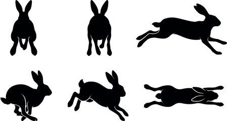 Wild Hare Silhouette Set with Jackrabbit Icons in Multiple Perspective Angles Front View Rear View and Top Down Flat Lay Splooting Positions for Graphic Designs © MdImran