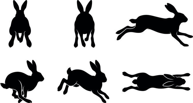 Wild Hare Silhouette Set with Jackrabbit Icons in Multiple Perspective Angles Front View Rear View and Top Down Flat Lay Splooting Positions for Graphic Designs