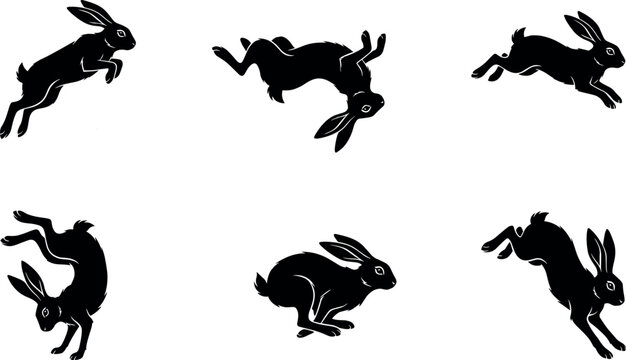Wild Hare Silhouette Set with Jackrabbit Icons Tumble Flipping and Rolling Over in Mid Air Acrobatic Motion Sequences for Creative Wildlife Nature Graphic Designs