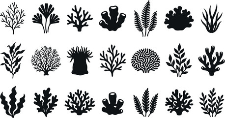 Coral silhouettes collection black and white marine life shapes © Noyon
