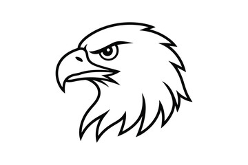 Fototapeta premium Bold eagle head illustration with sharp beak