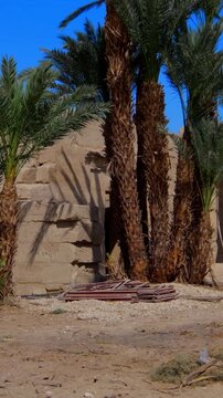 Seti I mortuary temple entrance with palm tree alley and ancient stone ruins in Luxor Egypt. Scenic pathway under vivid blue sky.